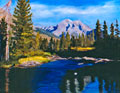 Teton Beaver Dam